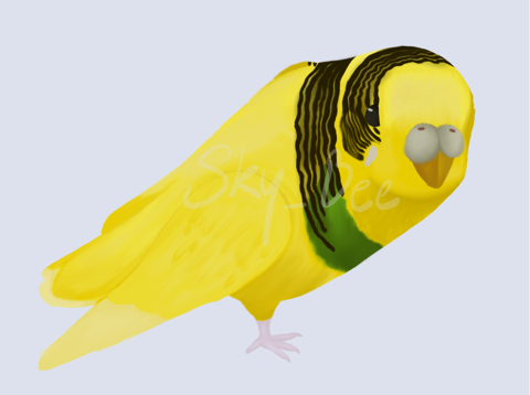 Yellow Budgie